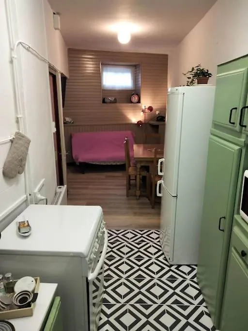 Le Nid Douillet Vintage Apartment La Bourboule 0*,
